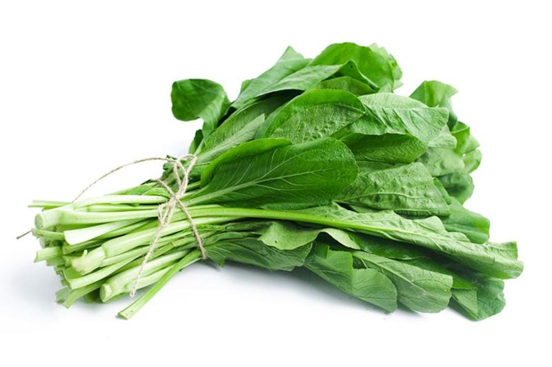 Cải ngọt phát triển tươi tốt
