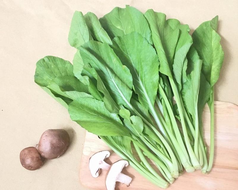 Cải ngọt sẵn sàng thu hoạch