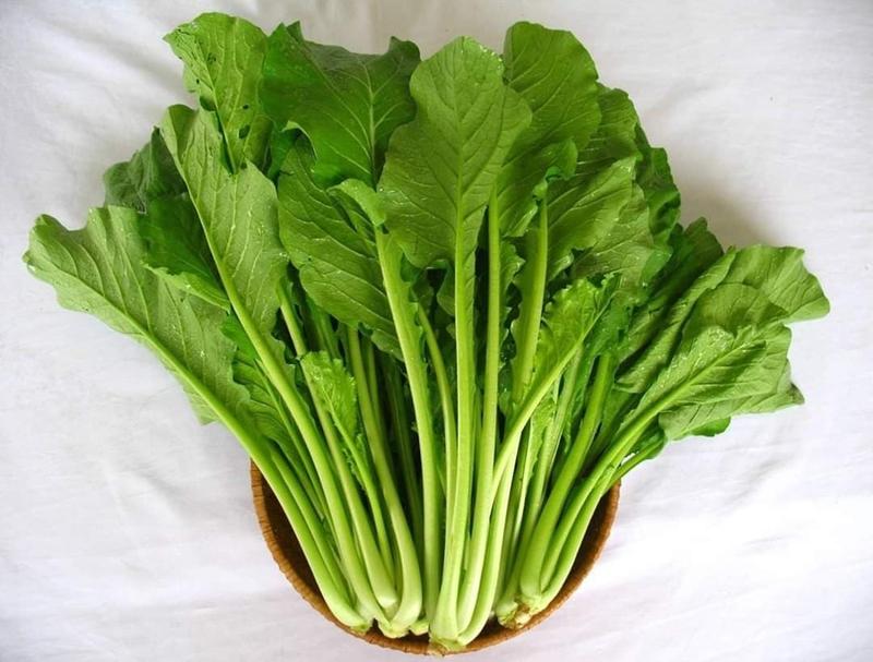 Cải ngọt tươi ngon trên bàn ăn