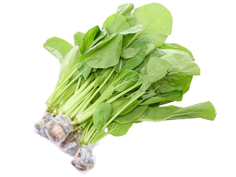 Hạt giống cải ngọt chất lượng